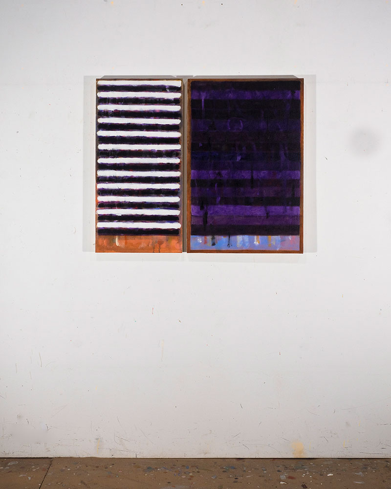 Raven Speaks in situ-2020